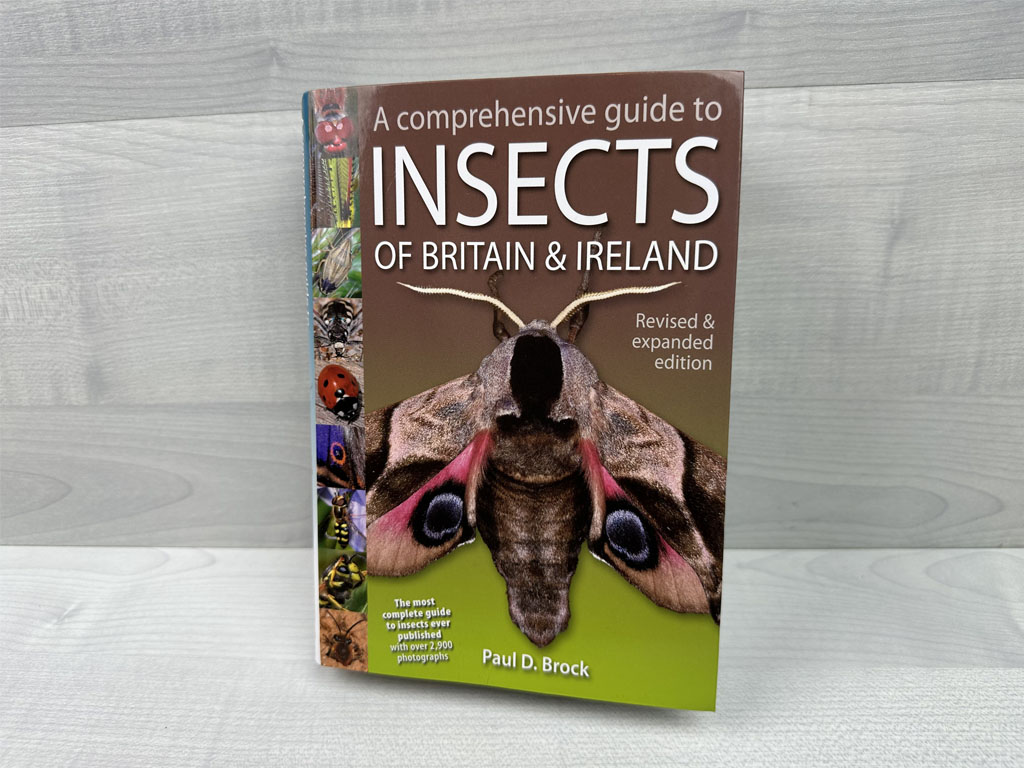 A comprehensive guide to insects of Britian and Ireland book A comprehensive guide to insects of Britain and Ireland book